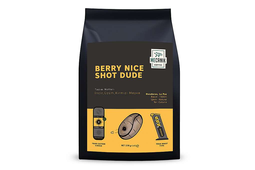 MECANIK COFFEE NICE SHOT DUDE (BREZILYA) 250g